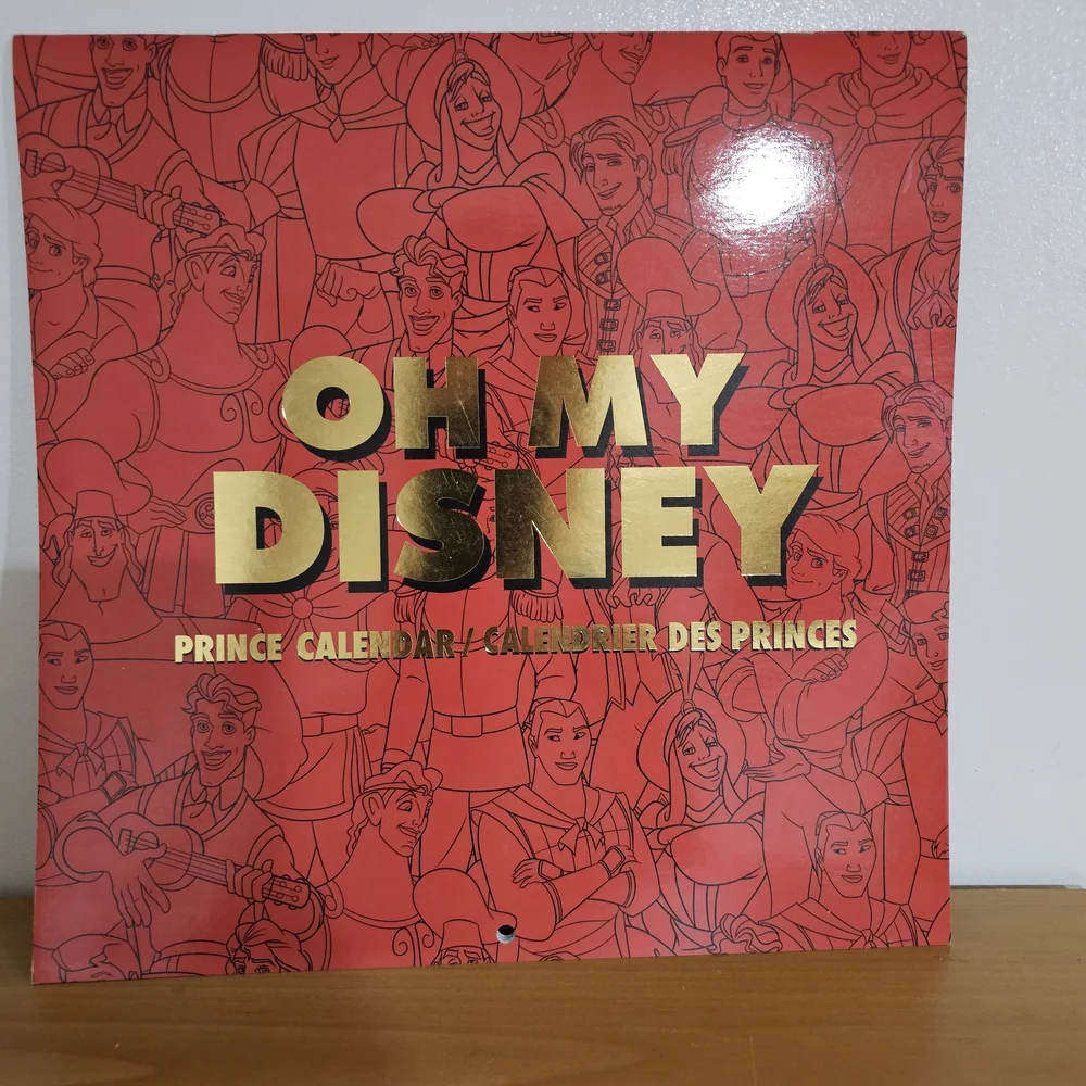 Oh My Disney DIY ANY YEAR Calendar Princes NEW Rare